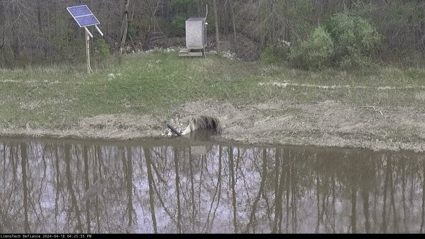 Basin Inflow_24-04-18_16-25-56-34