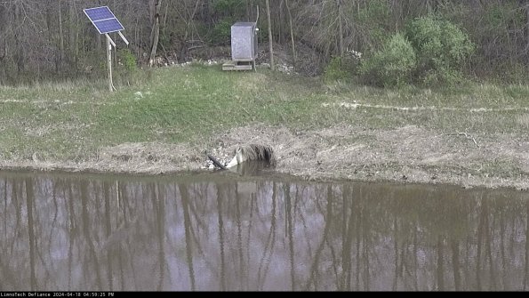 Basin Inflow_24-04-18_16-59-26-33