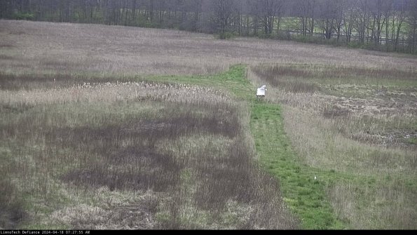 Cell 1 to 2_24-04-18_07-27-56-33