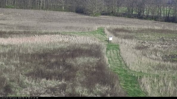 Cell 1 to 2_24-04-18_08-01-26-31