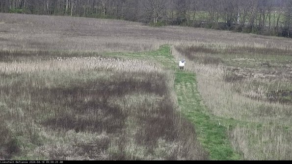 Cell 1 to 2_24-04-18_09-08-26-31