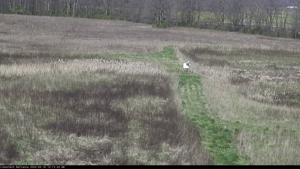 Cell 1 to 2_24-04-18_10-15-25-31