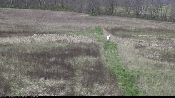 Cell 1 to 2_24-04-18_11-22-25-30