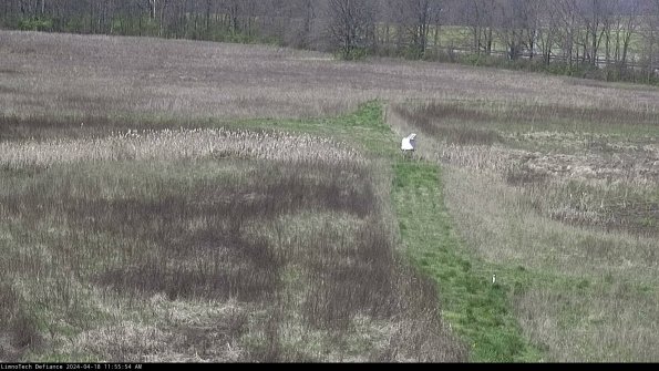 Cell 1 to 2_24-04-18_11-55-55-31