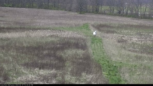 Cell 1 to 2_24-04-18_12-29-24-33