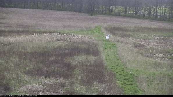 Cell 1 to 2_24-04-18_19-44-48-33