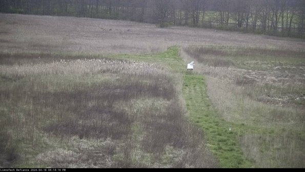 Cell 1 to 2_24-04-18_20-18-17-32