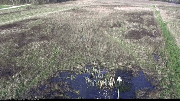 Cell 1_24-04-18_08-01-12-33