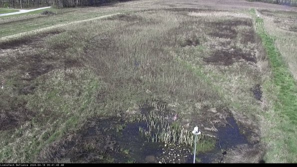 Cell 1_24-04-18_09-41-41-32