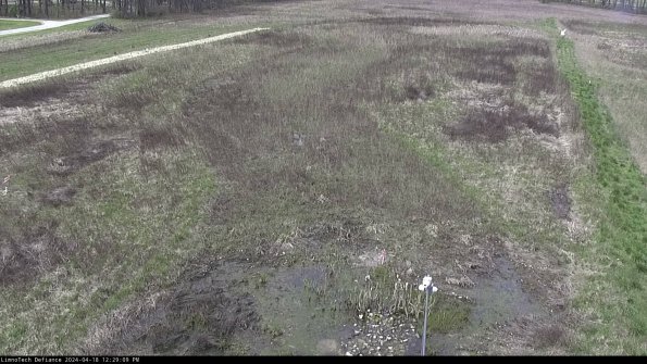 Cell 1_24-04-18_12-29-10-35