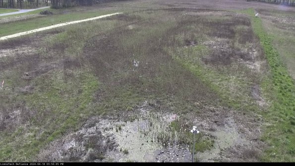 Cell 1_24-04-18_15-50-06-35