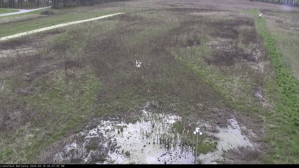 Cell 1_24-04-18_16-57-06-32