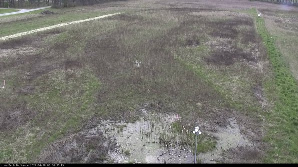 Cell 1_24-04-18_17-30-36-35