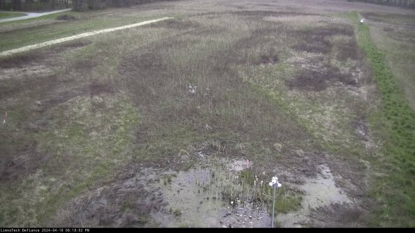 Cell 1_24-04-18_20-18-03-34