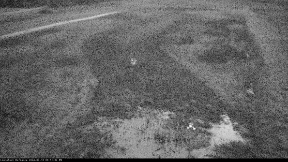 Cell 1_24-04-18_20-51-33-32