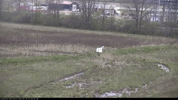 Cell 2 to 3_24-04-18_07-28-22-42