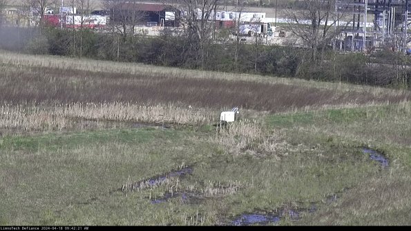 Cell 2 to 3_24-04-18_09-42-21-49