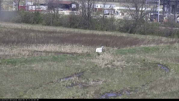 Cell 2 to 3_24-04-18_11-22-51-42