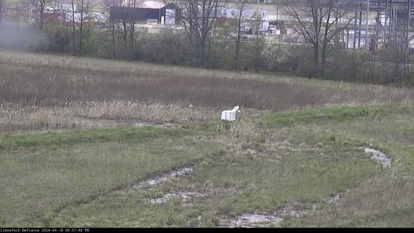 Cell 2 to 3_24-04-18_16-57-46-46