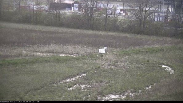 Cell 2 to 3_24-04-18_20-18-43-58