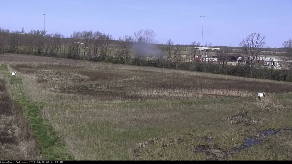 Cell 2_24-04-18_09-42-08-41