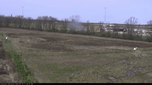 Cell 2_24-04-18_11-56-08-36