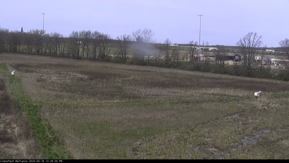 Cell 2_24-04-18_12-29-37-45