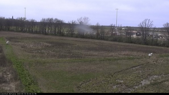 Cell 2_24-04-18_15-50-33-41