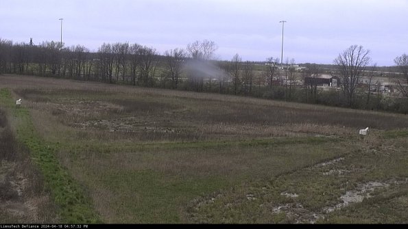 Cell 2_24-04-18_16-57-33-38