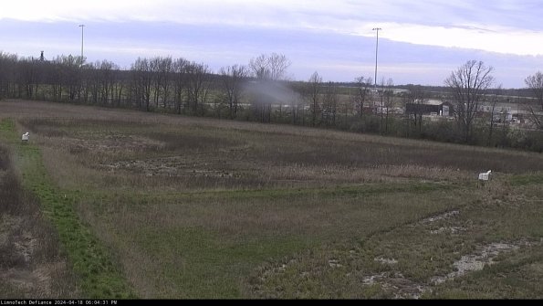 Cell 2_24-04-18_18-04-32-37