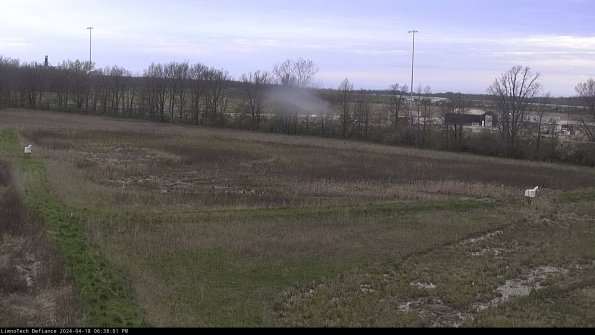 Cell 2_24-04-18_18-38-02-37