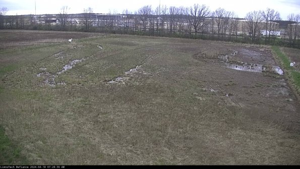 Cell 3_24-04-18_07-28-37-34