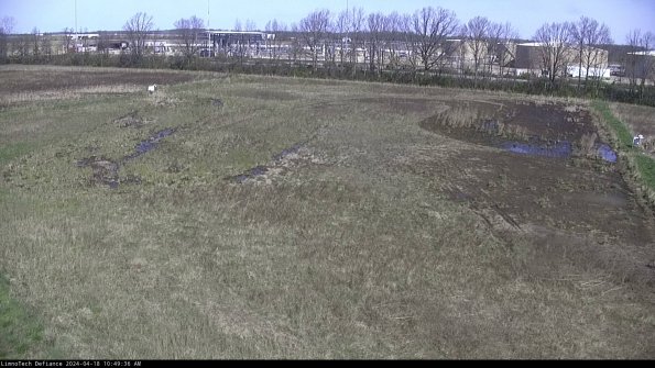 Cell 3_24-04-18_10-49-36-55