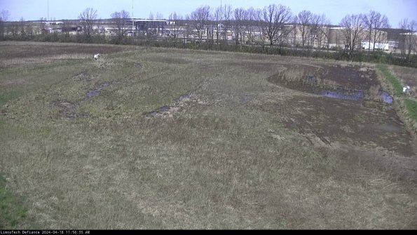 Cell 3_24-04-18_11-56-36-36