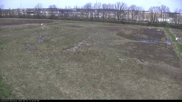 Cell 3_24-04-18_12-30-04-58