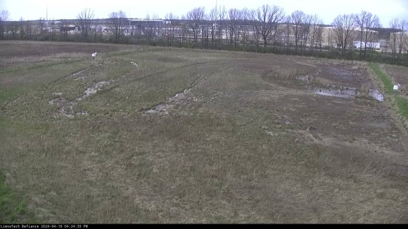 Cell 3_24-04-18_16-24-31-32