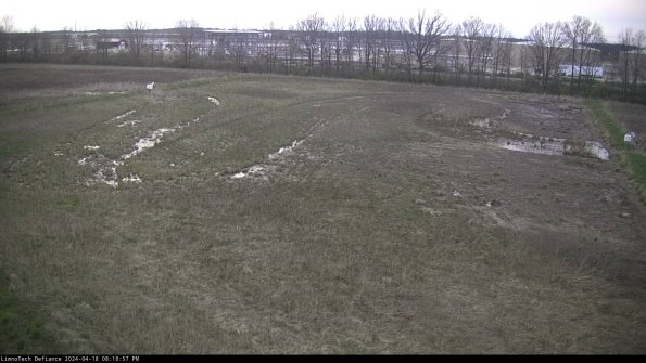 Cell 3_24-04-18_20-18-58-33