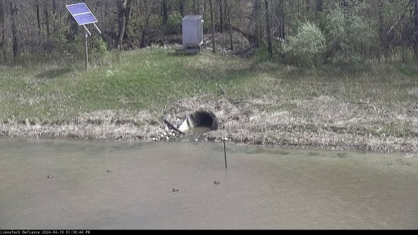 Basin Inflow_24-04-19_13-38-45-32