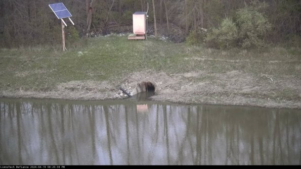 Basin Inflow_24-04-19_20-20-39-35