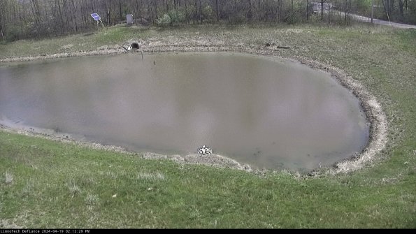 Basin Right_24-04-19_14-12-30-33