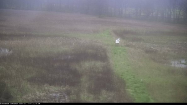 Cell 1 to 2_24-04-19_07-28-20-31