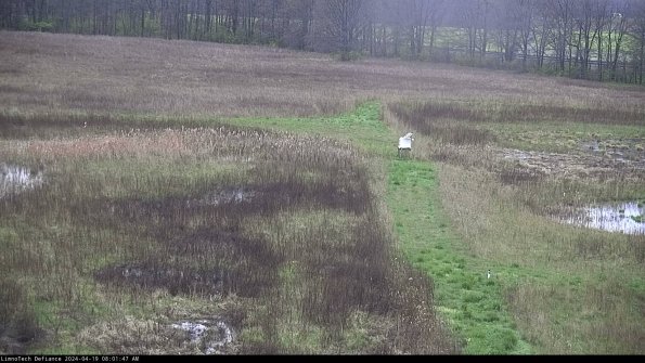 Cell 1 to 2_24-04-19_08-01-48-36