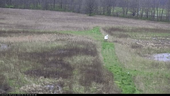 Cell 1 to 2_24-04-19_09-08-47-32