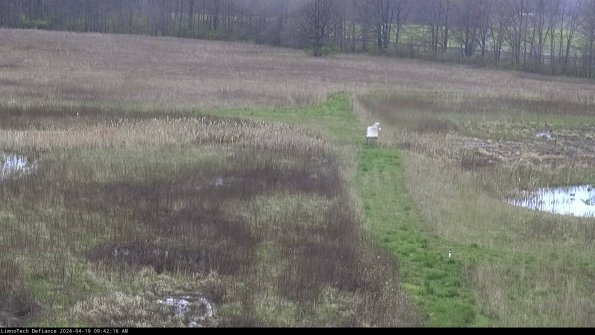 Cell 1 to 2_24-04-19_09-42-17-34