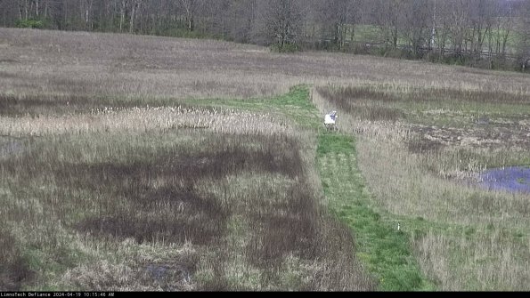 Cell 1 to 2_24-04-19_10-15-47-33