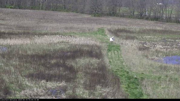 Cell 1 to 2_24-04-19_10-49-15-31