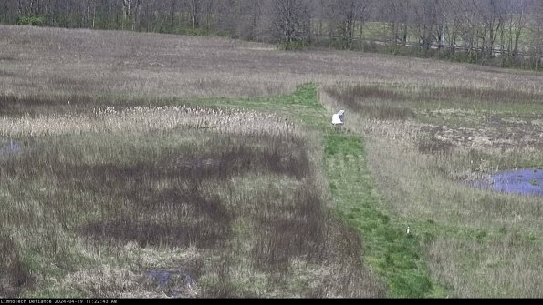 Cell 1 to 2_24-04-19_11-22-44-32