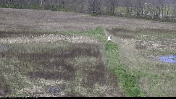 Cell 1 to 2_24-04-19_11-56-12-31