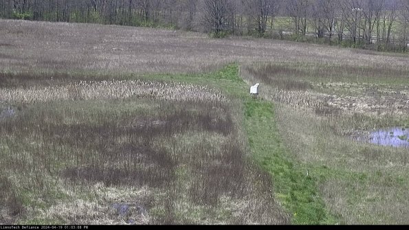 Cell 1 to 2_24-04-19_13-03-09-31