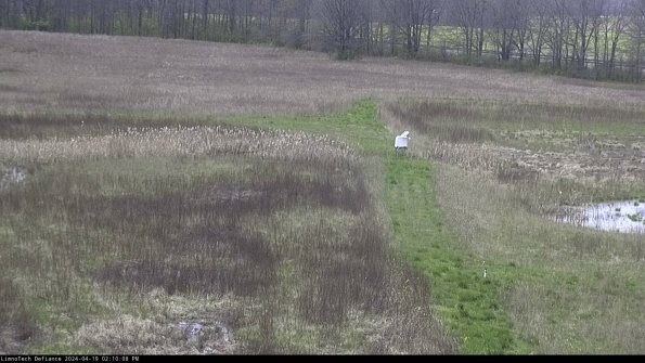 Cell 1 to 2_24-04-19_14-10-09-32